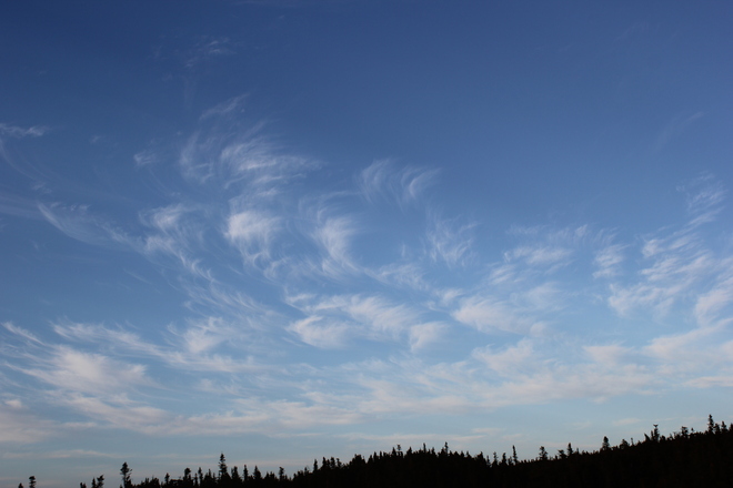 feathers in the sky Norman's Cove-Long Cove, Newfoundland and Labrador Canada