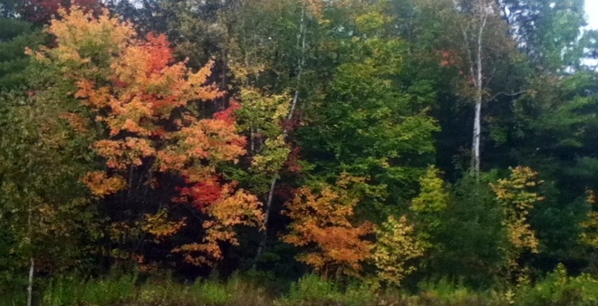 Autumn North Ridge, Ontario Canada