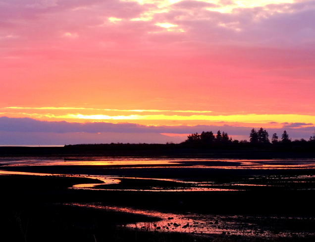 Sunrise at low tide Royston, British Columbia Canada