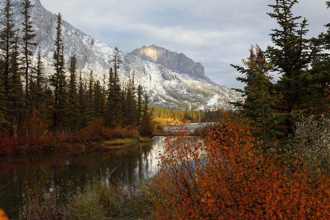 fall colours Canmore, Alberta Canada