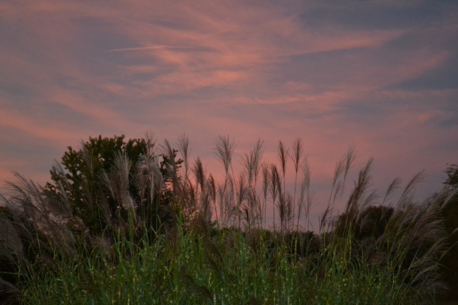 Beautiful sunset in Tecumseh Tecumseh, Ontario Canada