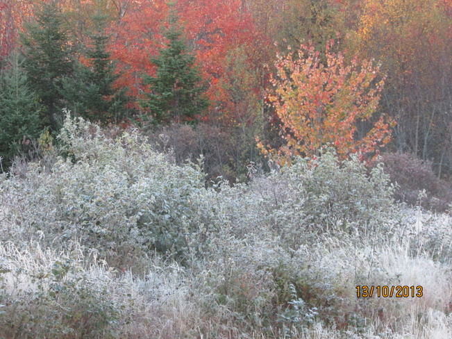 first frost.. Joggins, Nova Scotia Canada