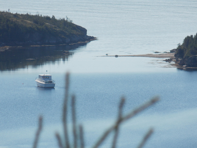 calm waters Dover, Newfoundland and Labrador Canada