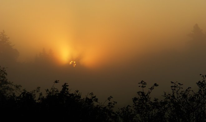 Sun rising through the mist Victoria, British Columbia Canada