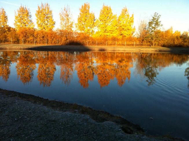 Beautiful Fall Morning Lloydminster, Saskatchewan Canada