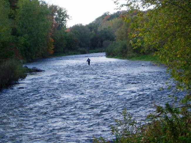 Fishing at Credit River, Erindale Park, Mississauga, Canada Mississauga, Ontario Canada
