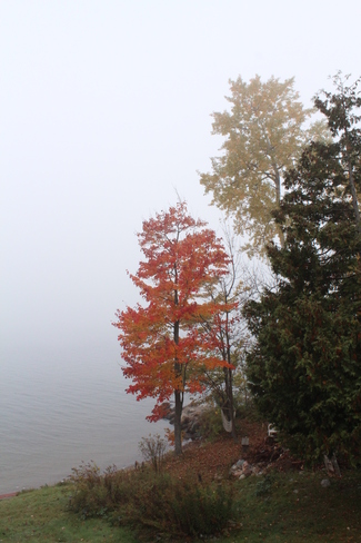 Foggy or what?! Blind River, Ontario Canada