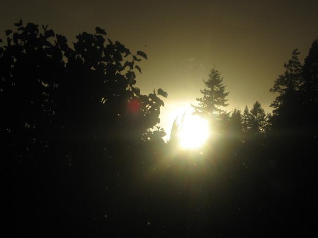 the sun going down Surrey, British Columbia Canada