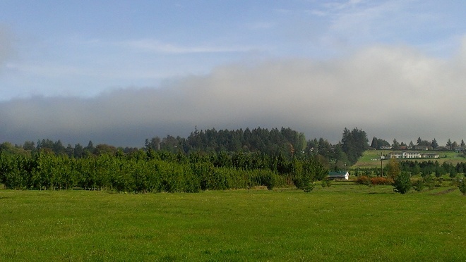 Fog rolls in from the East Victoria, British Columbia Canada
