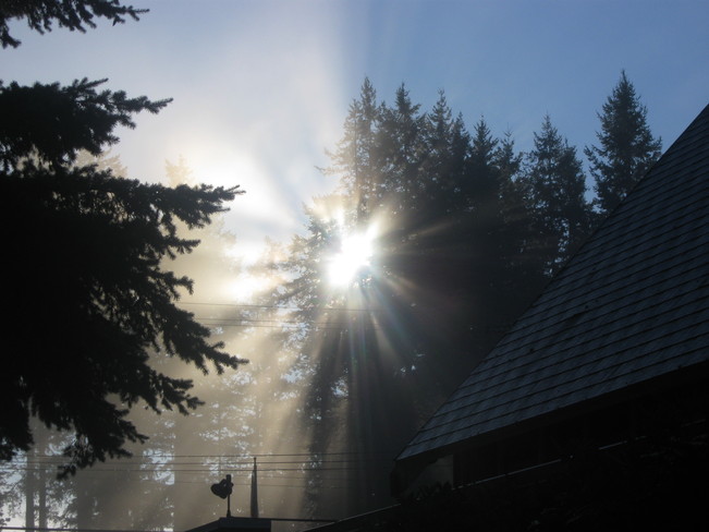 sun shining!! Surrey, British Columbia Canada