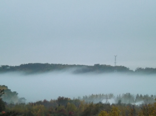 early morning fog New Minas, Nova Scotia Canada