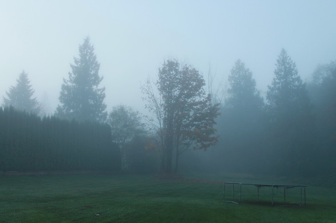 Misty Morning Aldergrove, British Columbia Canada