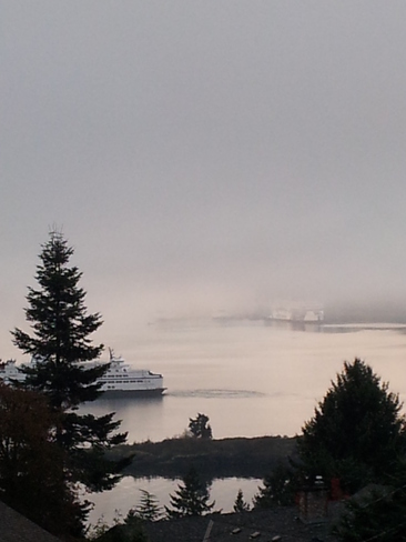 Fog in Departure Bay. 
