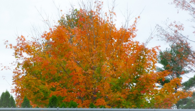 Vibrant Colour Orillia, Ontario Canada