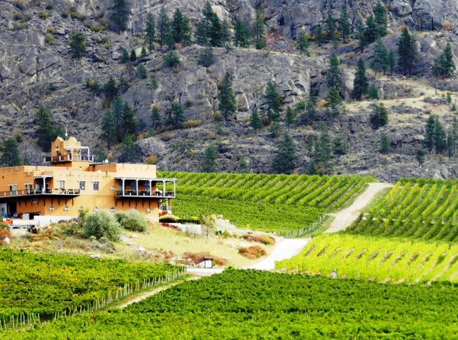 S. Okanagan Winery Vineyards Osoyoos, British Columbia Canada