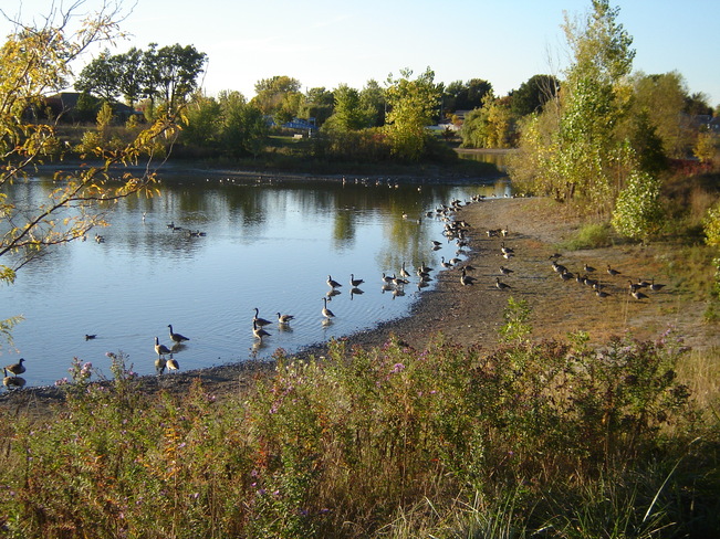 The Pond Windsor, Ontario Canada