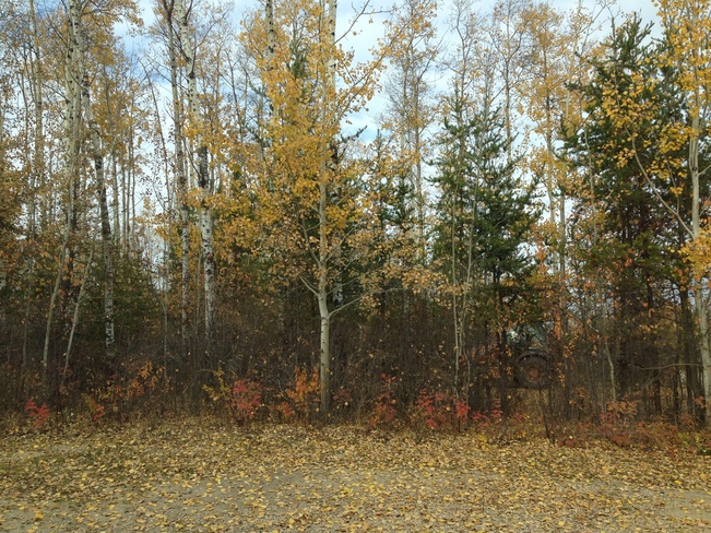 autumn Kikino, Alberta Canada