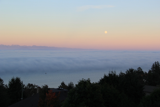 beauty above the fog Nanaimo, British Columbia Canada