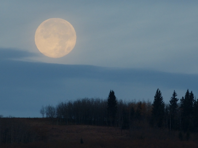 Moonset Millarville, Alberta Canada