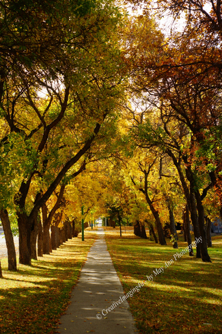 A Walk Through Fall Rosetown, Saskatchewan Canada