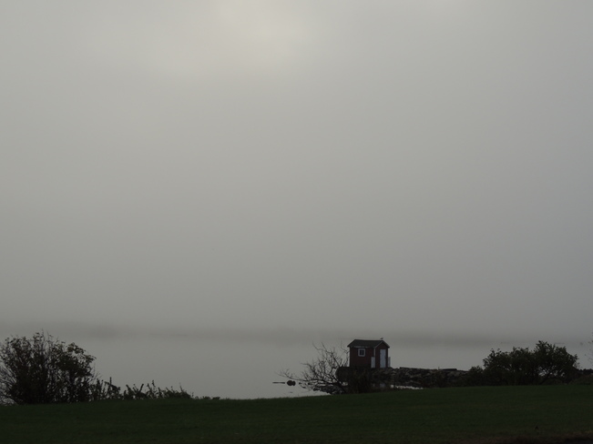 Foggy Morning Lewisporte, Newfoundland and Labrador Canada
