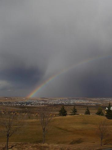 Rainbow Calgary, Alberta Canada