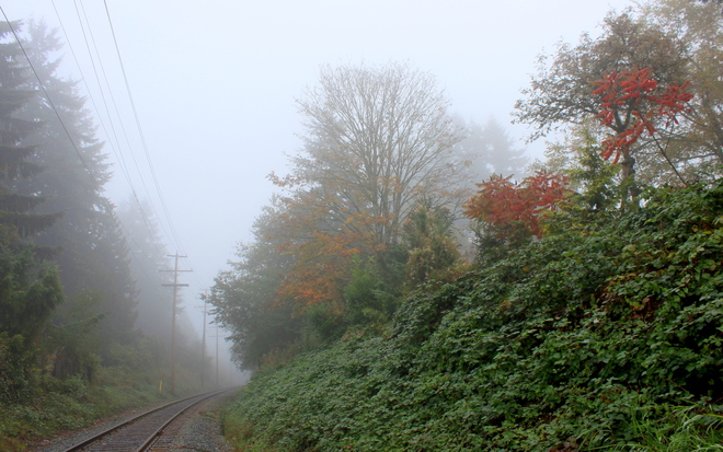 foggy fall Surrey, British Columbia Canada