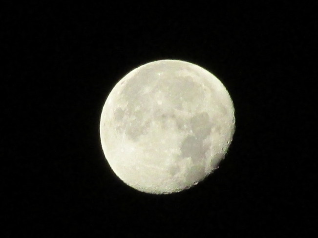 Moon Shot Calgary, Alberta Canada