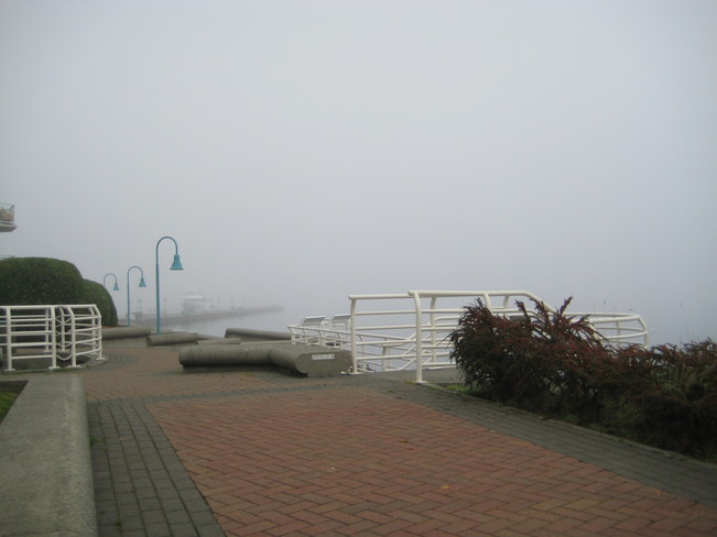 Fog Nanaimo, British Columbia Canada