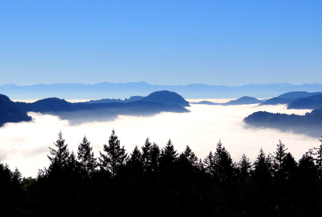Views from above the fog Malahat, British Columbia Canada
