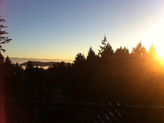 Fog starting to roll in Langford, British Columbia Canada