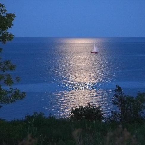 Sail boat in the moonlight Toronto, Ontario Canada