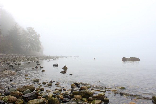 foggy beach Surrey, British Columbia Canada