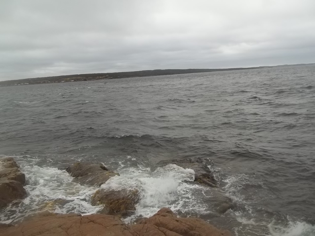 Windy Afternoon Birchy Bay, Newfoundland and Labrador Canada