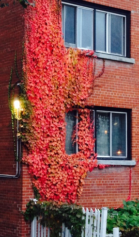 Late fall in downtown Ottawa Ottawa, Ontario Canada