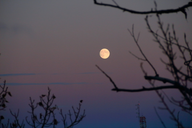 Moon in the "Belt of Venus" Calgary, Alberta Canada