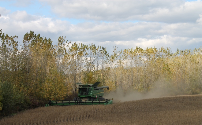 Harvest Windsor, Ontario Canada