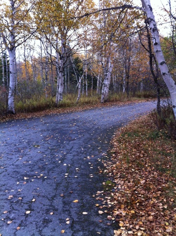 Autumn Road Gander, Newfoundland and Labrador Canada