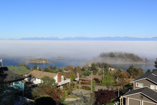 Fog on the Salish sea and Shack Island Nanaimo, British Columbia Canada