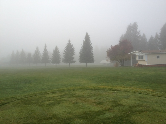 A foggy day on the golf course Edgewater, British Columbia Canada