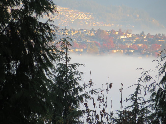 Before the fog lifted Surrey, British Columbia Canada