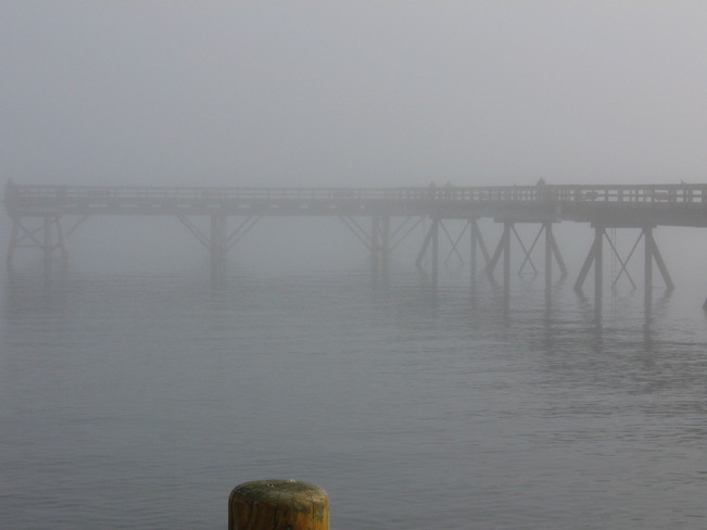 Fog Sidney, British Columbia Canada