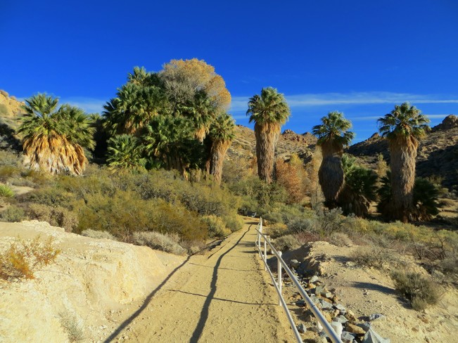 True Desert Scene Palm Springs, California United States