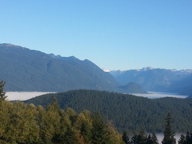 fog Burnaby, British Columbia Canada