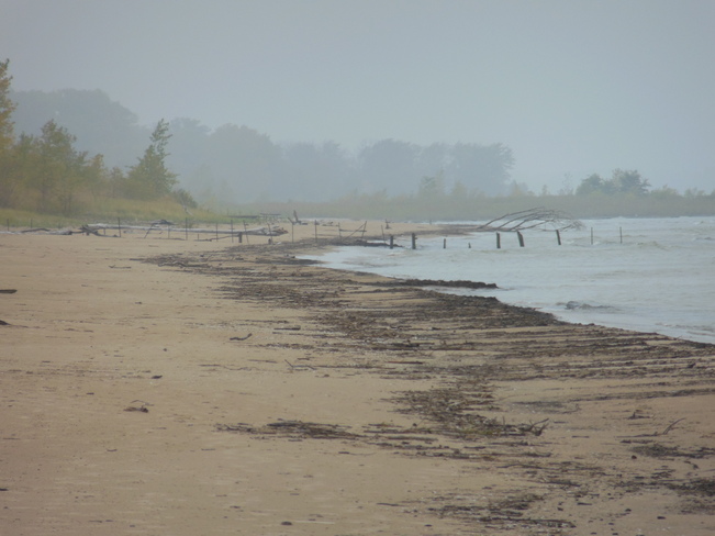 Foggy Beach Port Franks, Ontario Canada