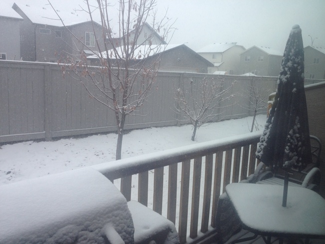Winter has arrived Okotoks, Alberta Canada