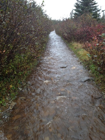 Was a quad path! Harbour Grace, Newfoundland and Labrador Canada