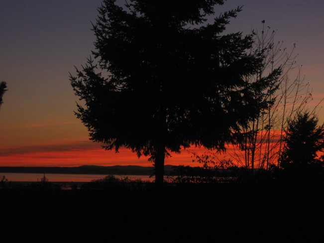 tonight's sunset... Surrey, British Columbia Canada