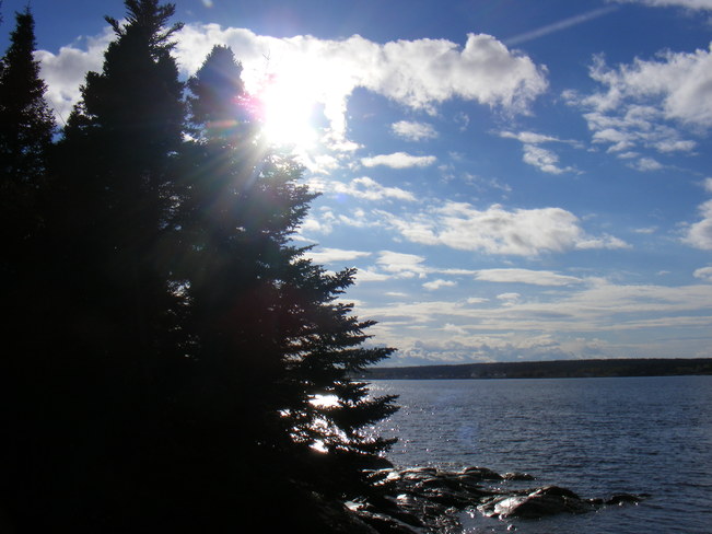 Sunny Afternoon Birchy Bay, Newfoundland and Labrador Canada