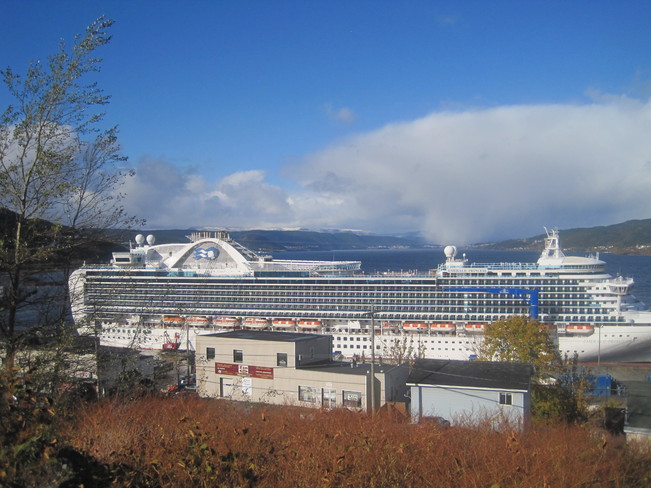 cruise ship emerald princess Pasadena, Newfoundland and Labrador Canada